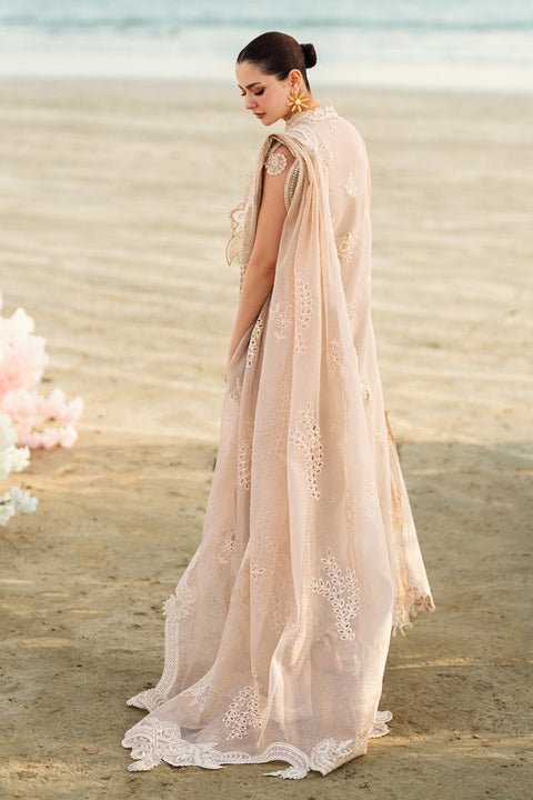SOPHIA LAWN